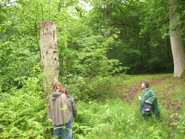 2007 05 Myco porte Baudet 03